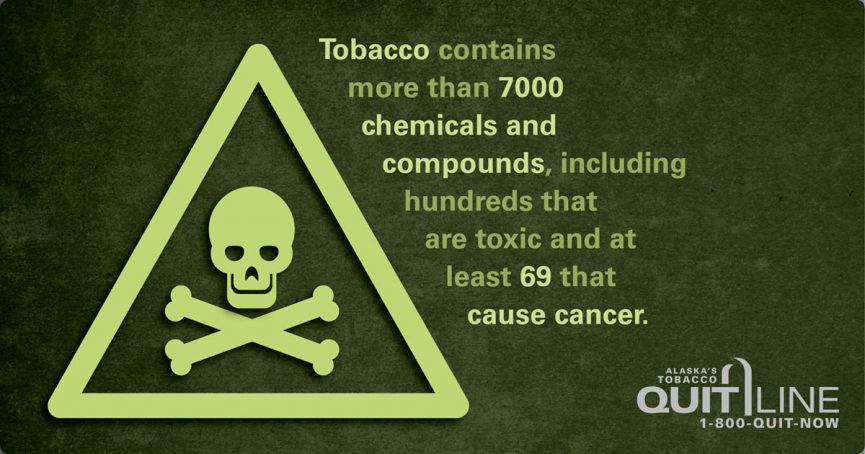 Tobacco contains more than 7000 chemicals and compounds