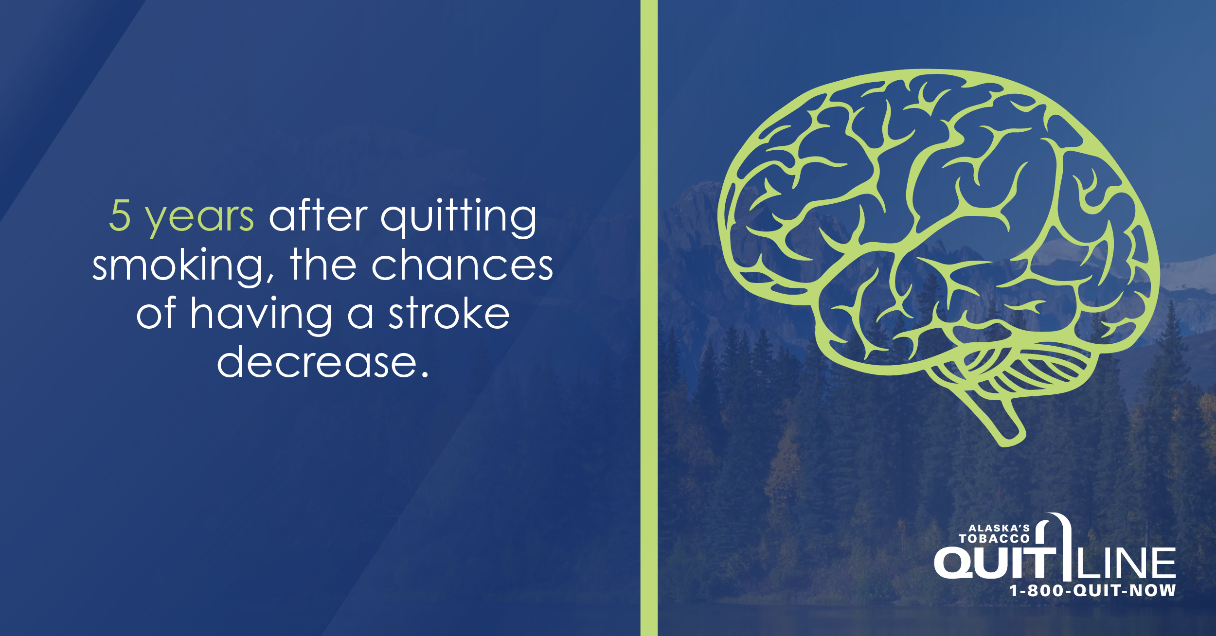 Illustration of a brain. Graphic reads, “5 years after quitting smoking, the chances of having a stroke decrease.”