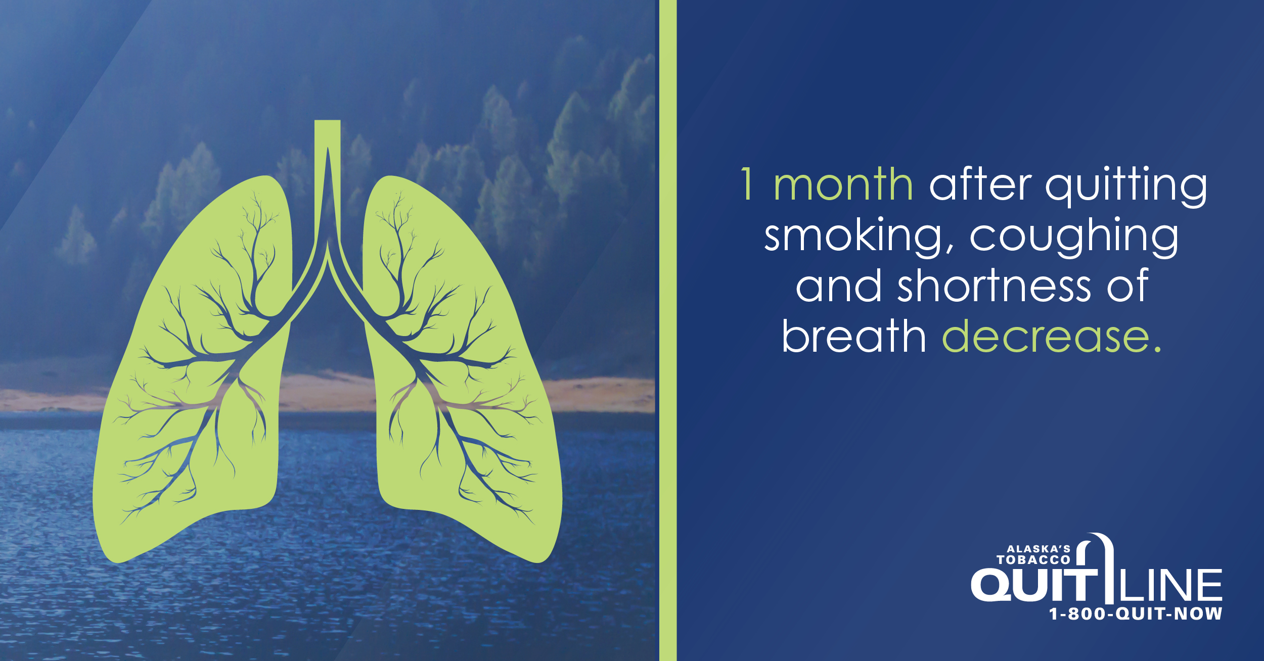 Illustration of lungs against a wooded backdrop. Graphic reads, “1 month after quitting smoking, coughing and shortness of breath decrease.”