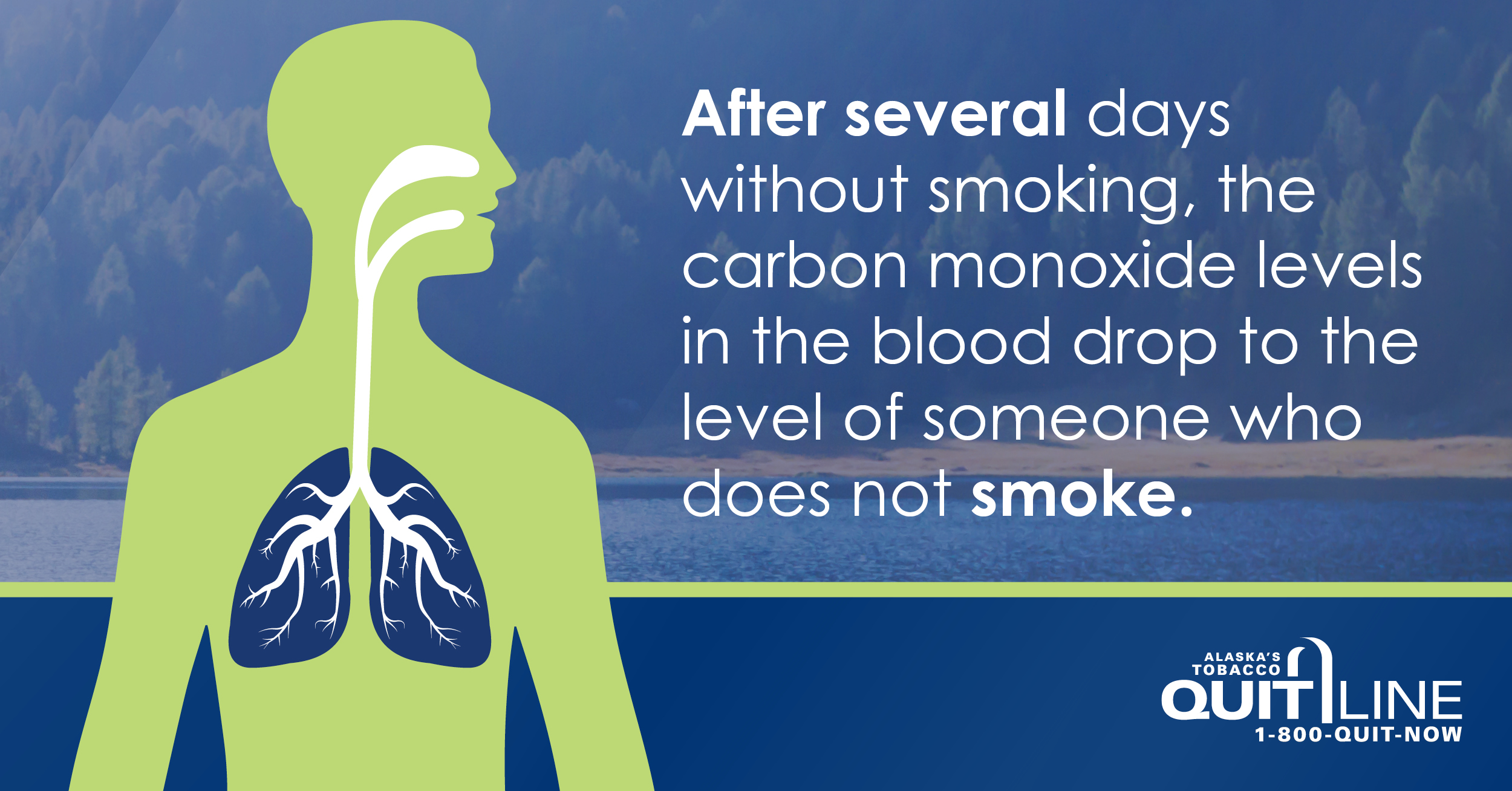 Illustration of a body and lungs in front of a wooded background. Graphic reads, “After several days without smoking, the carbon monoxide levels in the blood drop to the level of someone who does not smoke.”