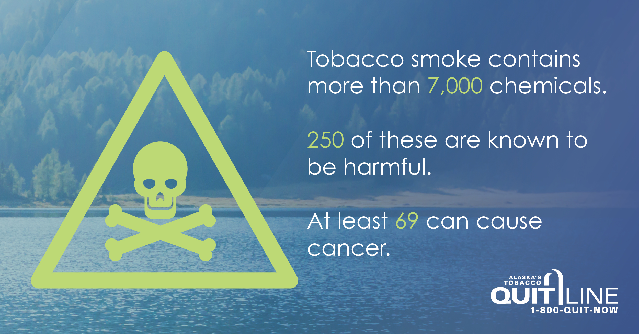 Illustration of a toxicity symbol against a wooded backdrop. Graphic reads, “Tobacco smoke contains more than 7,000 chemicals. 250 of these are known to be harmful. At least 69 can cause cancer.”