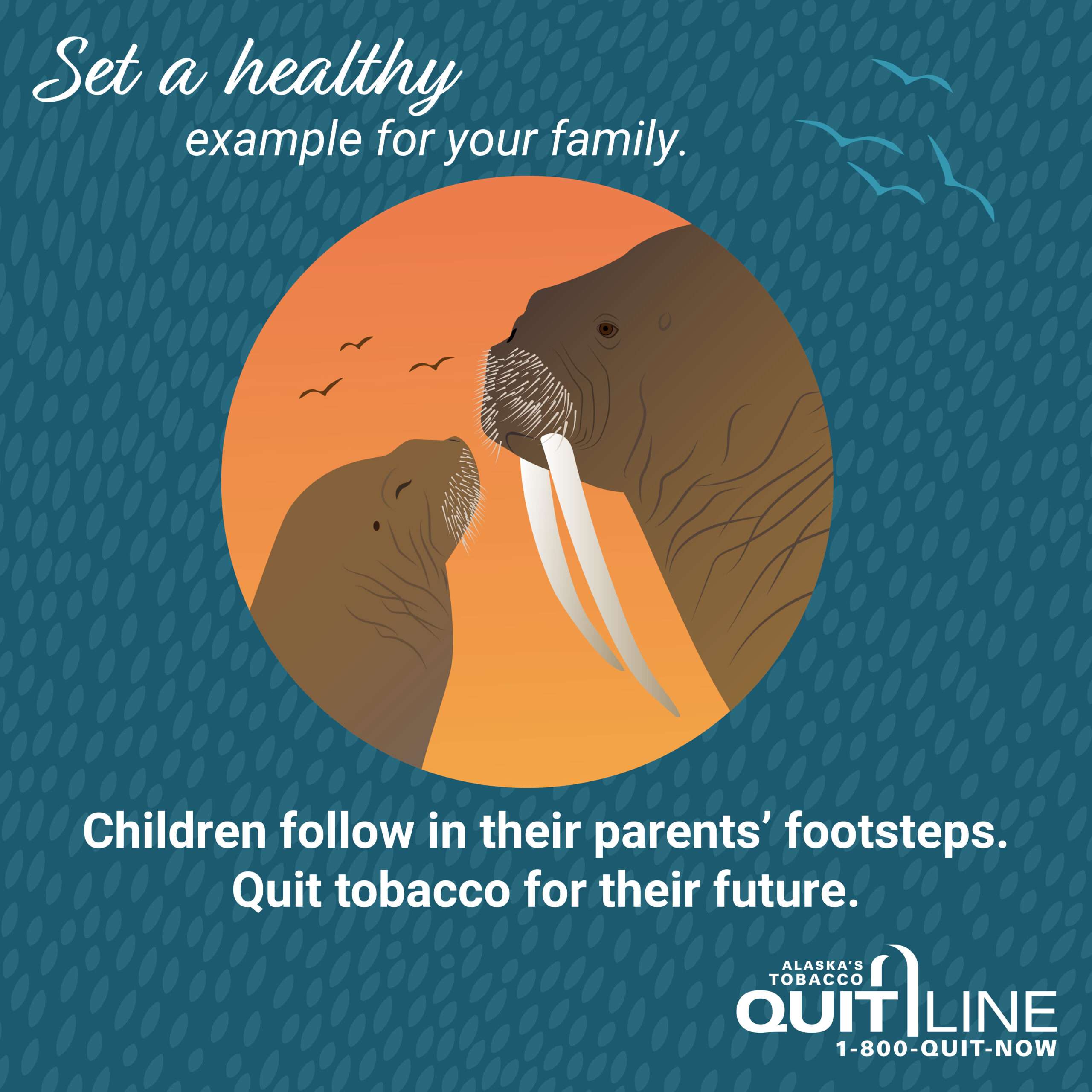 An adult and a baby walrus. Graphic reads, “Set a healthy example for your family. Children follow in their parents’ footsteps. Quit tobacco for their future.”