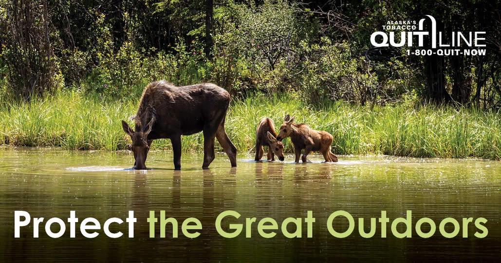 A family of moose with the words “Protect the great outdoors.”