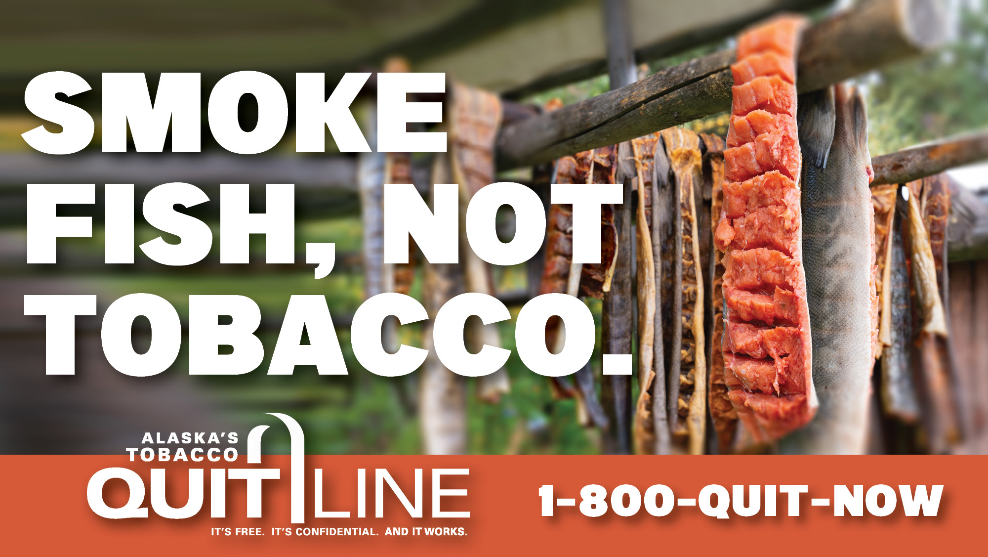 Photo of salmon drying in a smokehouse. Graphic reads, “Smoke fish, not tobacco.”