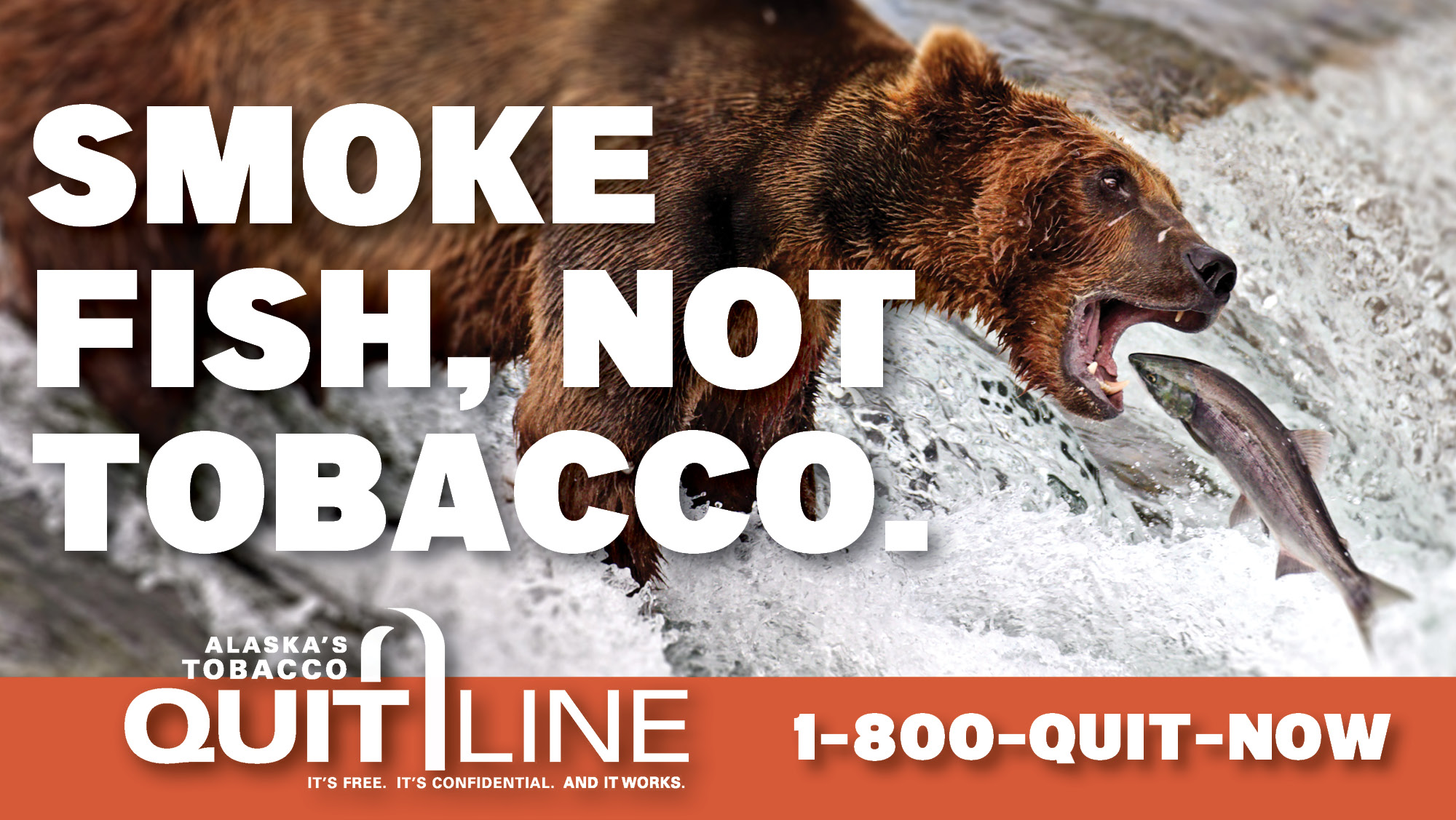 Bear catching salmon with the words “Smoke fish, not tobacco.”