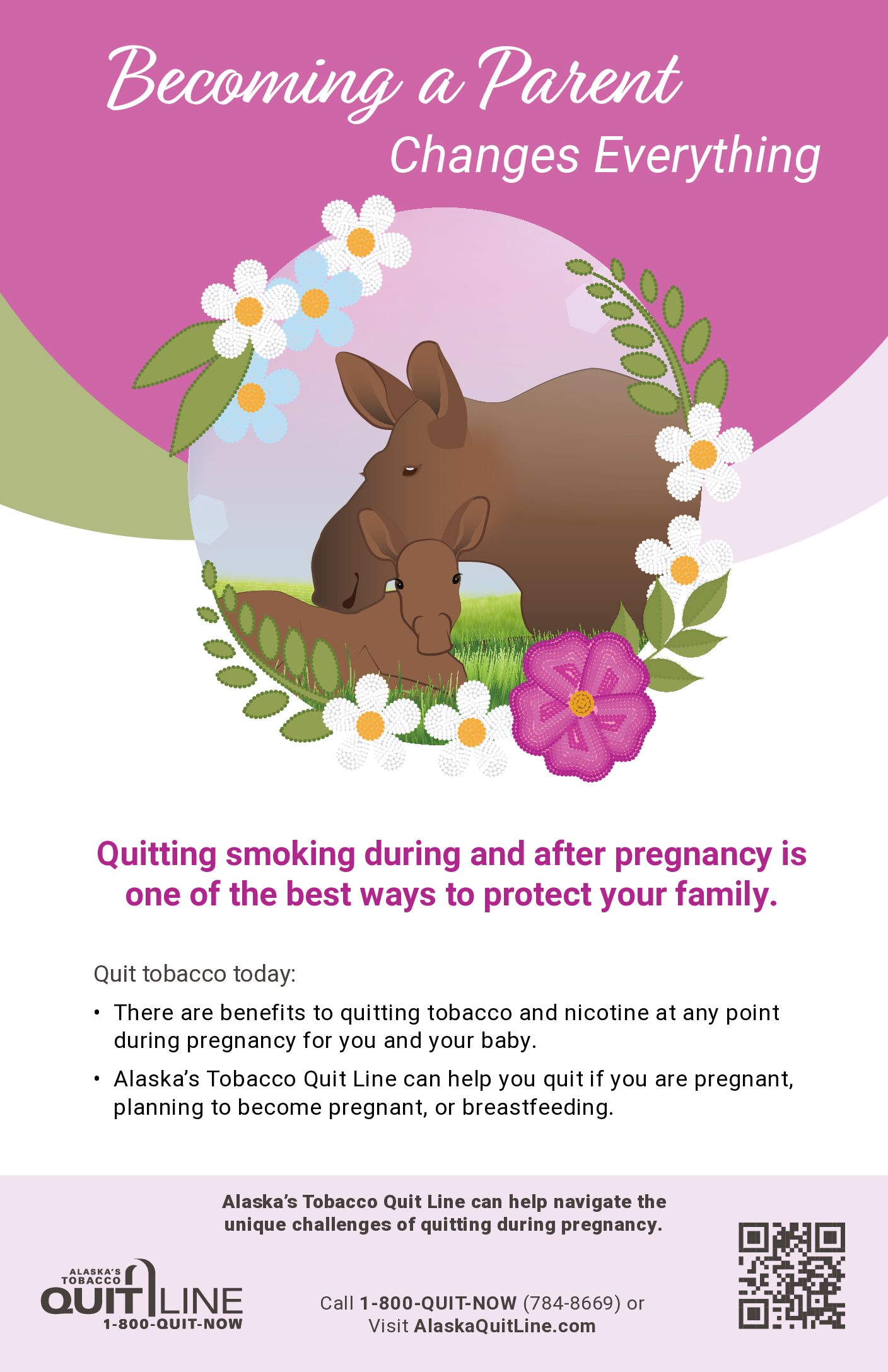 Poster featuring illustration of cow and calf moose with the words: Becoming a parent changes everything. Quitting smoking during and after pregnancy is one of the best ways to protect your family. Alaska's Tobacco Quit Line. 1-800-QUIT-NOW.