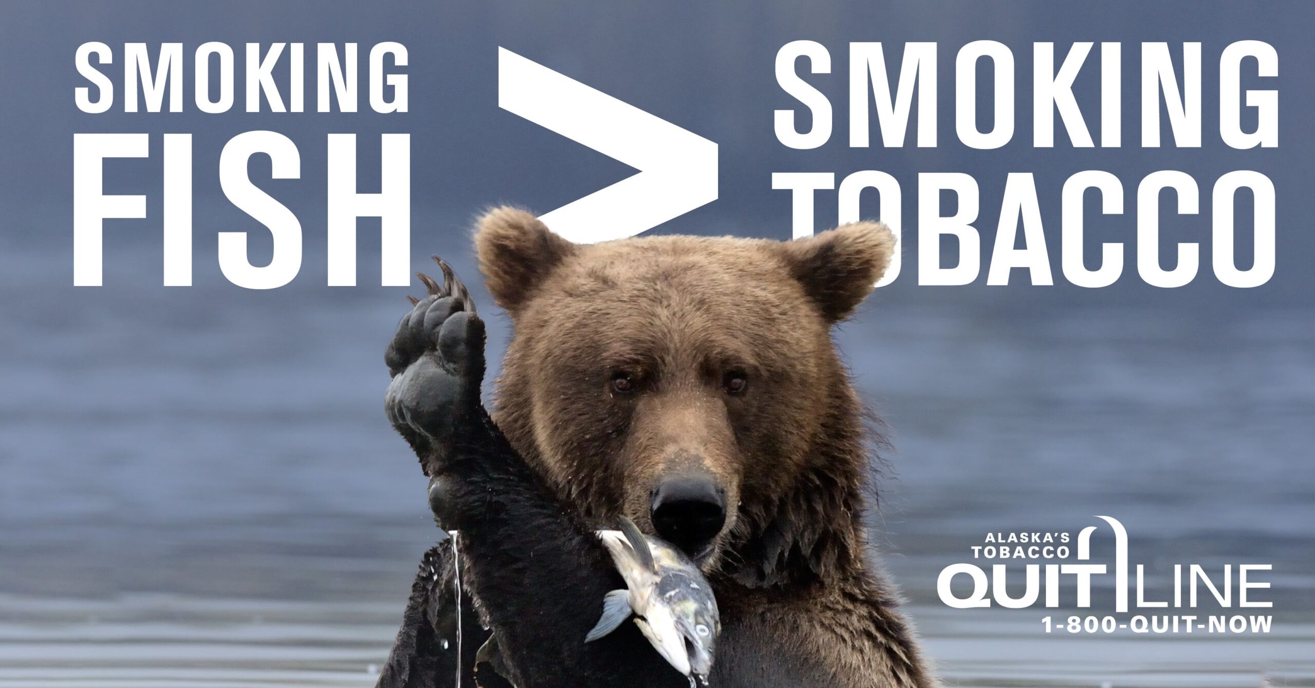 Photo of a brown bear with a fish in its mouth. Graphic reads, “Smoking fish > Smoking tobacco